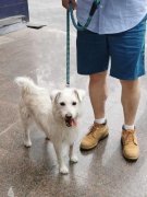出格是关于房地产买卖、租赁的